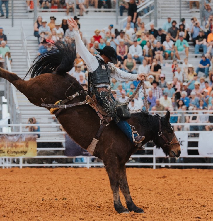 Arcadia Youth Rodeo Association